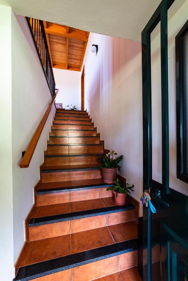 Casa Miguel Villa Machico  Bagian luar foto